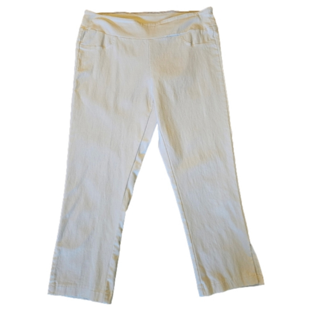 Christine Alexander Cropped Control Top Pants Size M